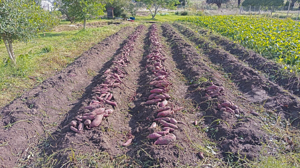 Imagen Principal Galería