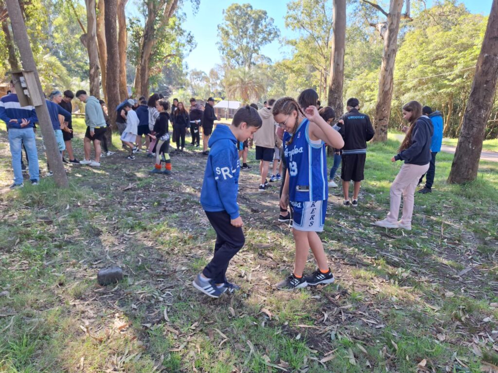 Imagen Principal Galería