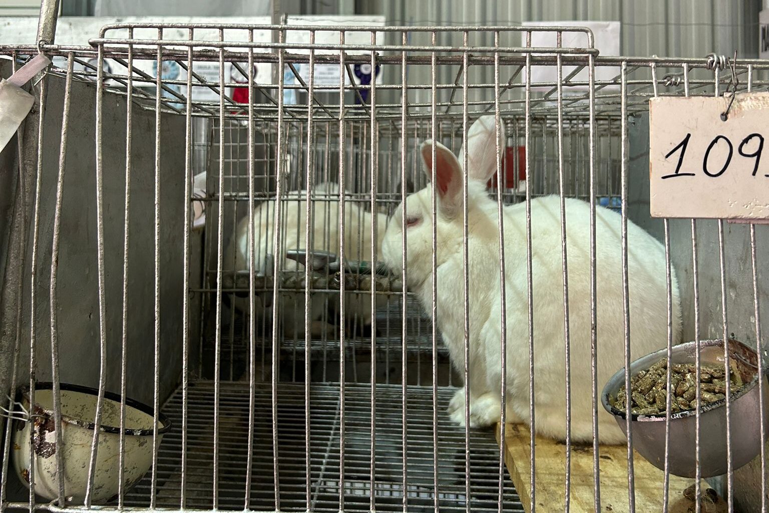 Imagen Principal Galería