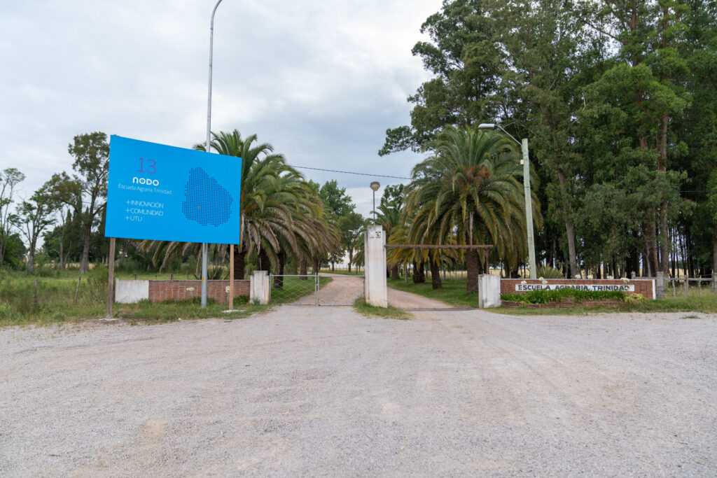 Imagen Principal Galería