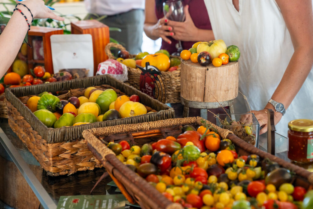 Imagen Principal Galería