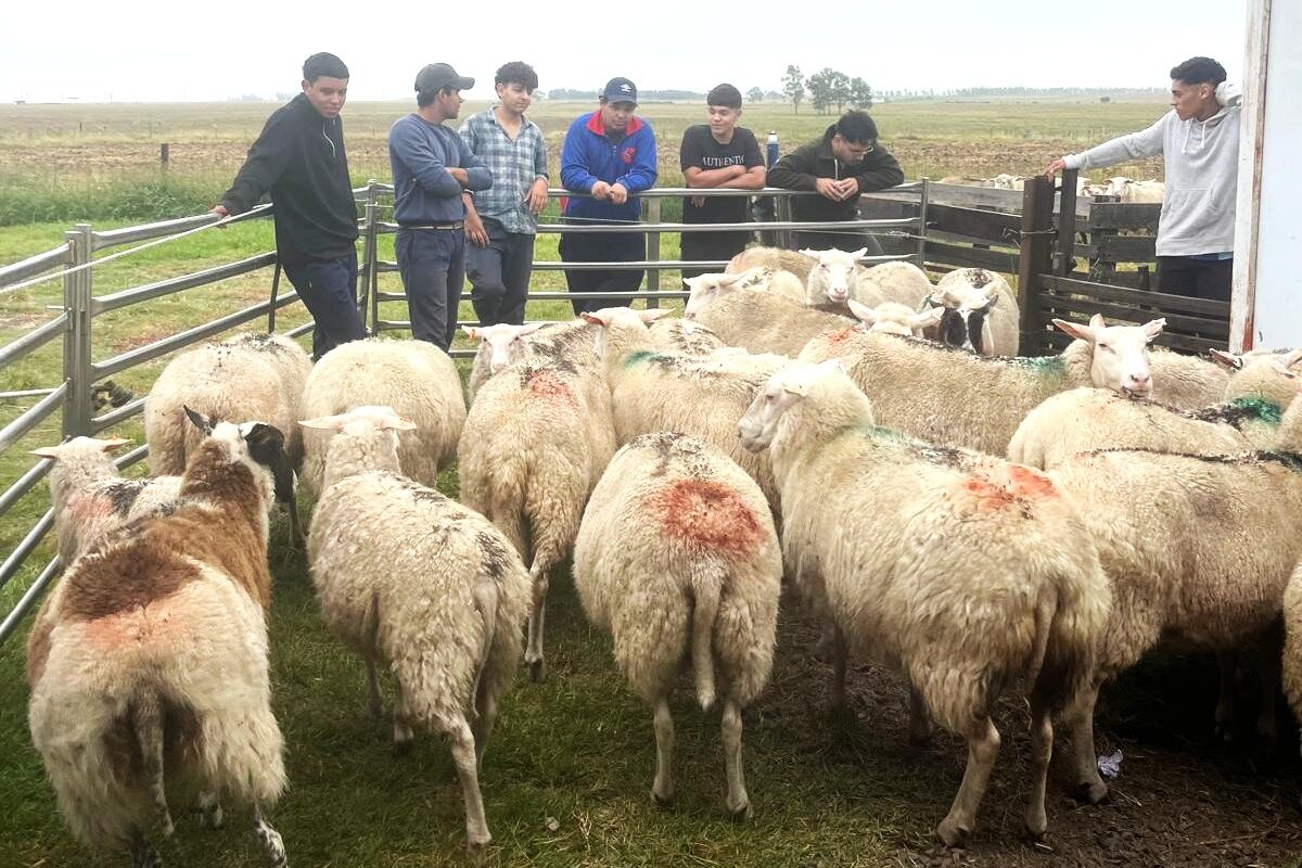 Alumnos del Anexo Agrario Baltasar Brum se capacitaron en esquila con reconocidos profesionales