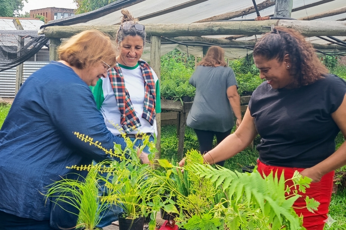 Imagen Principal Galería