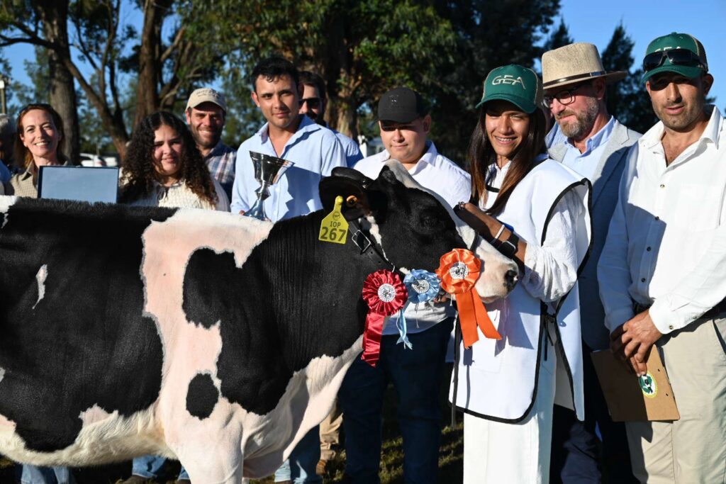 Imagen Principal Galería