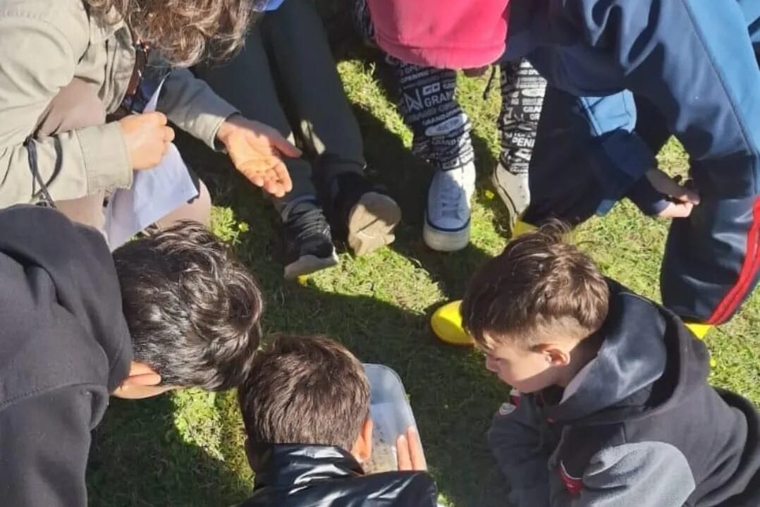 Experiencia en la naturaleza: estudiantes de educación básica de Maldonado realizaron salida educativa