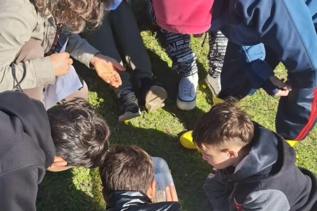 Miniatura