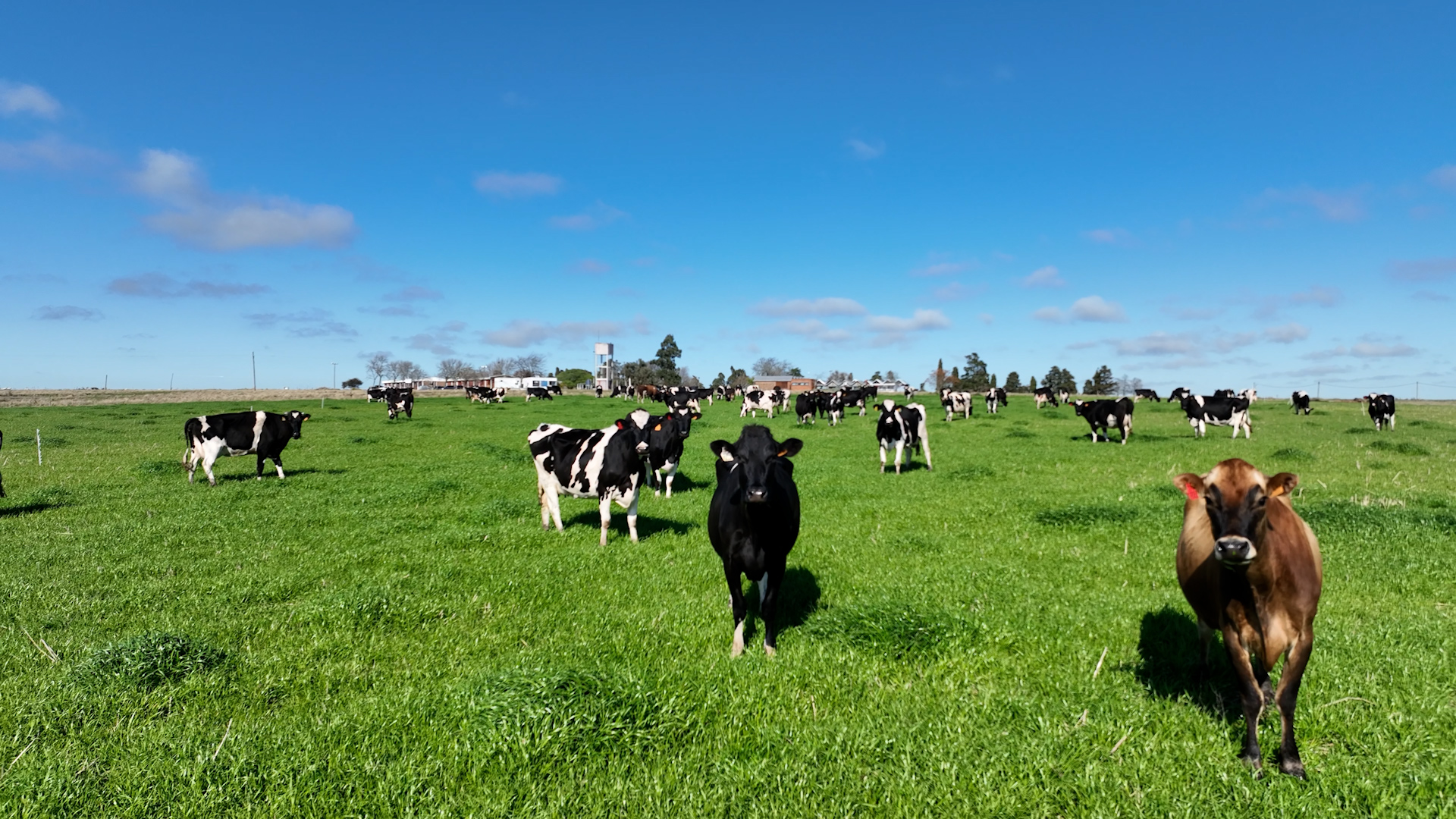 Impulso a la Ganadería Sostenible: comienza la Fase 2 del Proyecto Euroclima en las escuelas agrarias