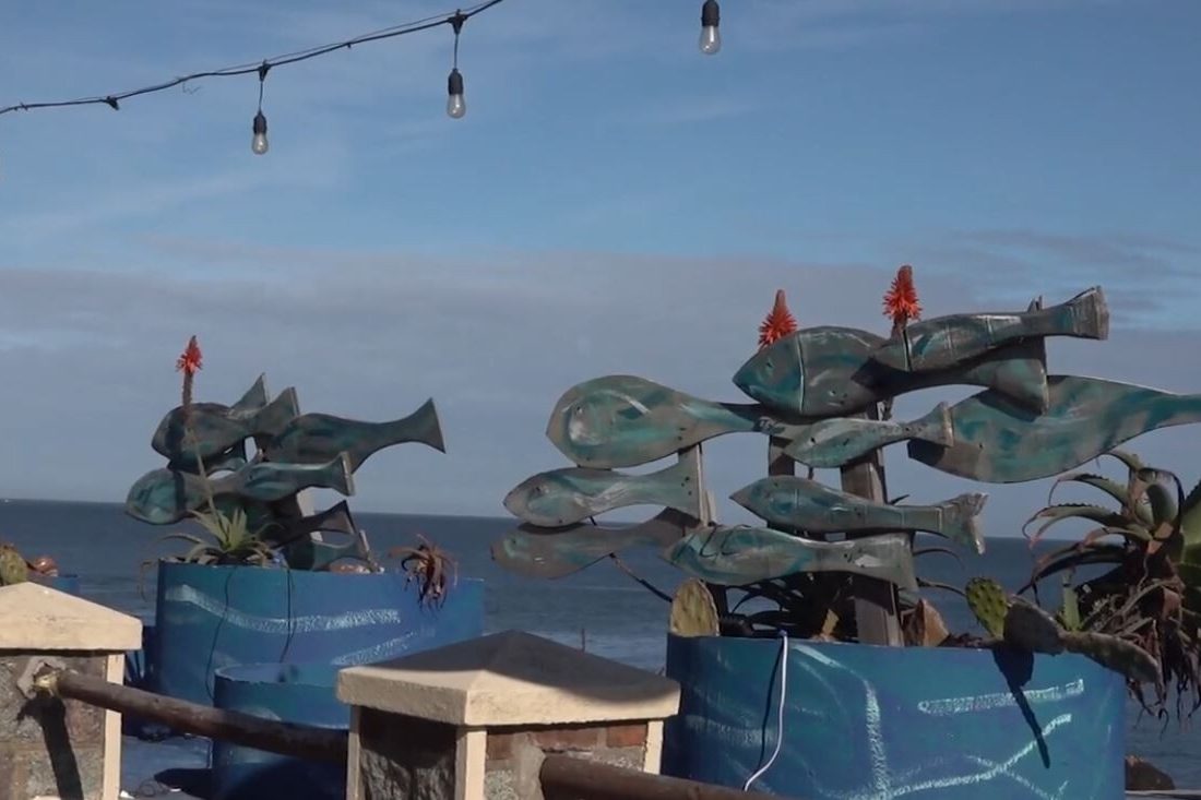 Estudiantes del PET Los Arrayanes presentaron un documental dedicado al balneario Punta Fría